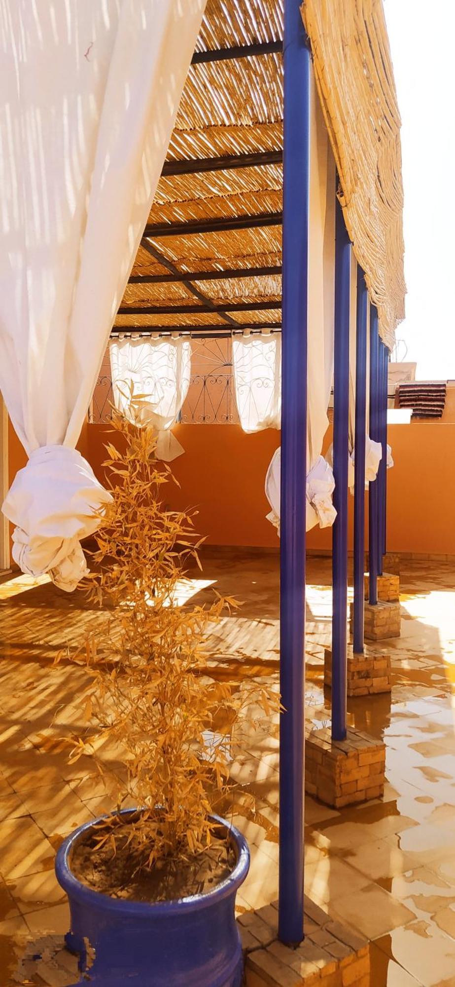 Maison D'Hotes Le Petit Jardin Marrakech 马拉喀什 外观 照片