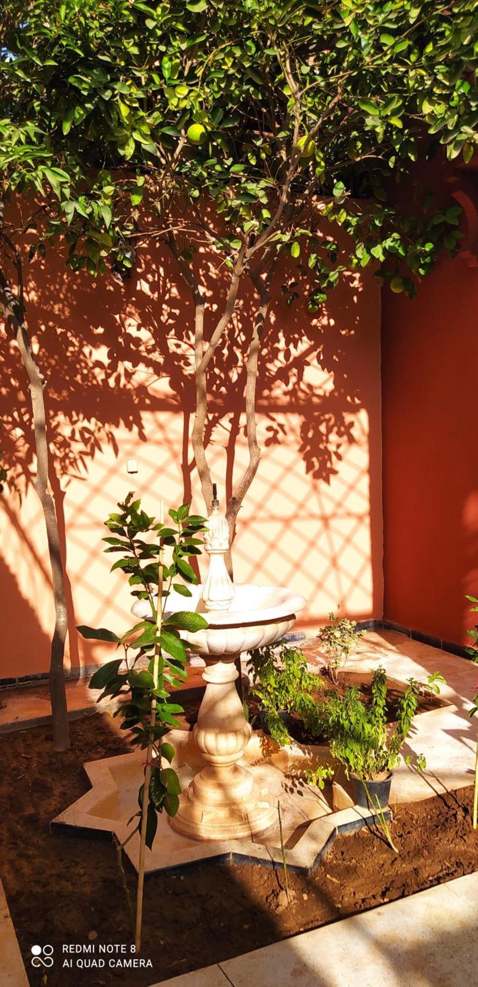 Maison D'Hotes Le Petit Jardin Marrakech 马拉喀什 外观 照片