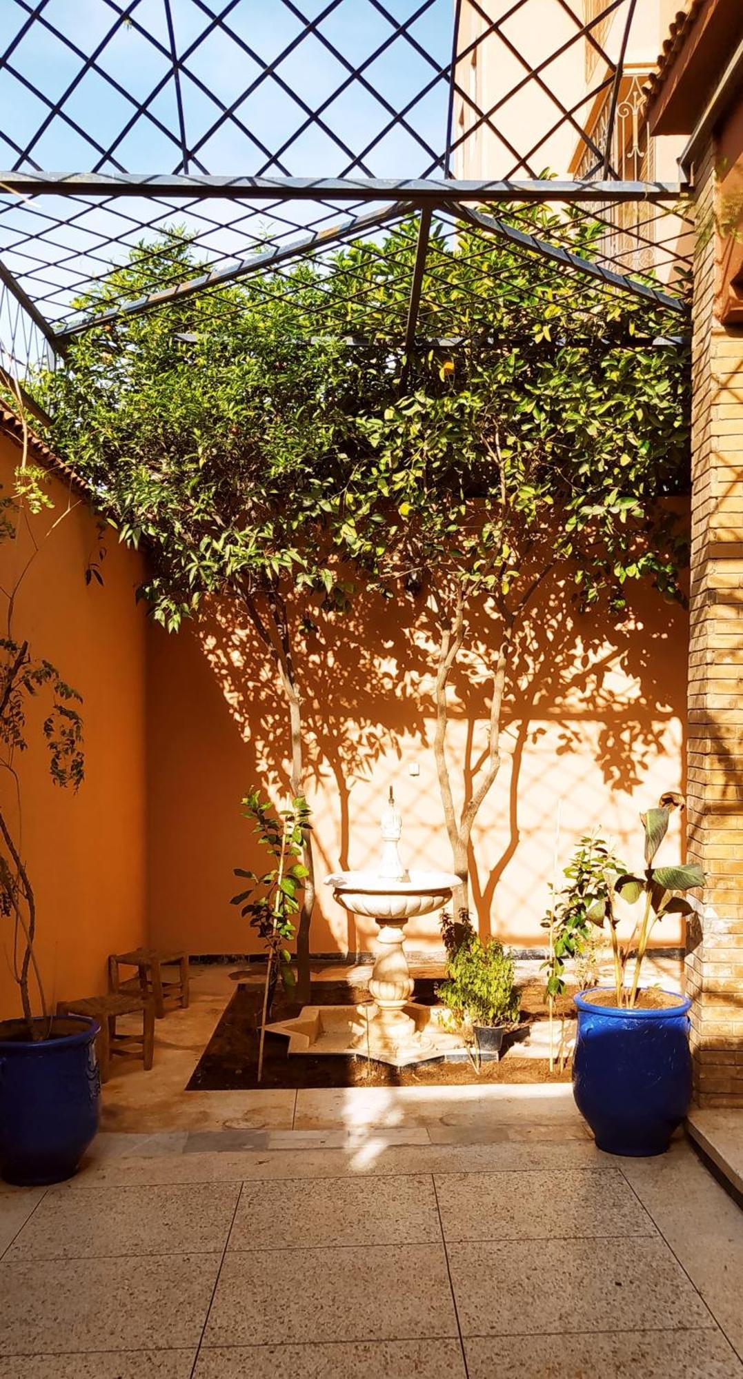 Maison D'Hotes Le Petit Jardin Marrakech 马拉喀什 外观 照片